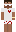 w0jkojakub Minecraft Skin