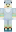 Bustom Minecraft Skin