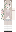 acumensans Minecraft Skin