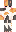 Humcat Minecraft Skin