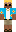 duck Minecraft Skin