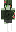 WaveThe1 Minecraft Skin