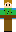 crazyfish292929 Minecraft Skin