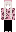 acumensans Minecraft Skin