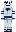 coldified Minecraft Skin