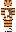 tigral Minecraft Skin