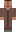 lil_palmo Minecraft Skin