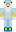 Bustom Minecraft Skin