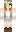 DolphinTip10 Minecraft Skin