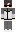 BulllenHass Minecraft Skin
