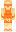 Dewalrus0 Minecraft Skin