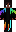 InFirstPerson Minecraft Skin